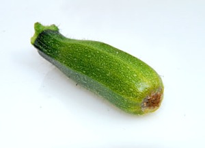 Courgette blossom end rot