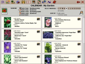 Make visual, printable plant lists